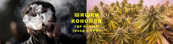 бошки Шадринск